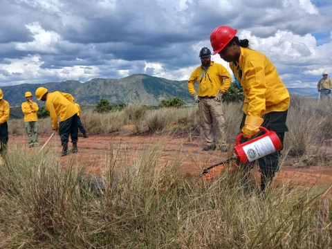 Several firefighters are visible working on a prescribed fire on a dirt road while instructors watch and make sure the fire is burning appropriately.