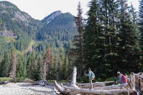 Two biologists stand amongst large logs in a dry creek bed. There are mountains and trees in the background.