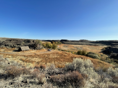 sage and grasses landscape with big blue sky