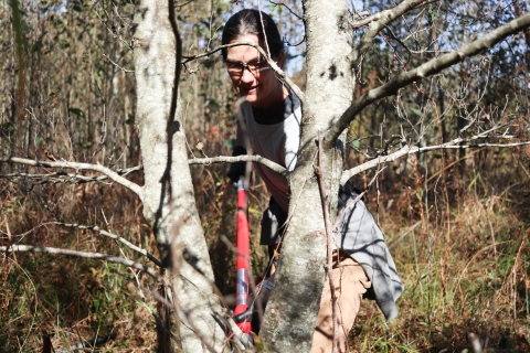 Woman holding a long rod against a tree trunk