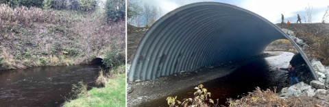 two side by side culverts, one is small, one is big
