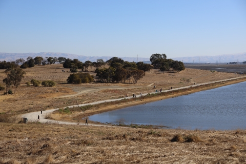 Long view of walkers and cyclists using the Flyway Trail at Don Edwards San Francisco Bay National Wildlife Refuge.