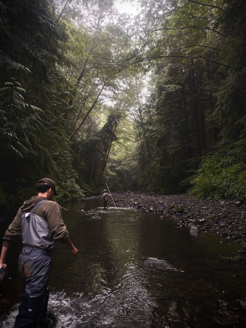 A service intern in waders walks through a shallow river. Water and a rocky shore can be seen with tall trees surrounding the river. 
