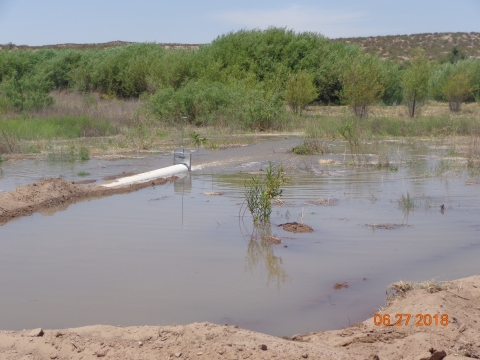 A pipe in a body of water