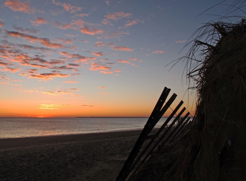 Image of beach horizon at Parker River NWR