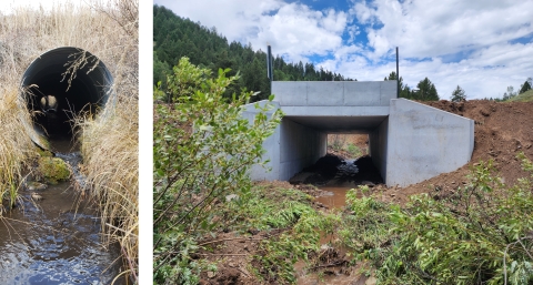 Concrete culvert pipe surrounded by grass, with a stream flowing through it. The scene has dry grass and plants lining the banks, and the water leading into the dark tunnel.