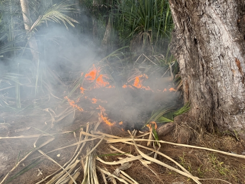 Active ground fire from charcoal