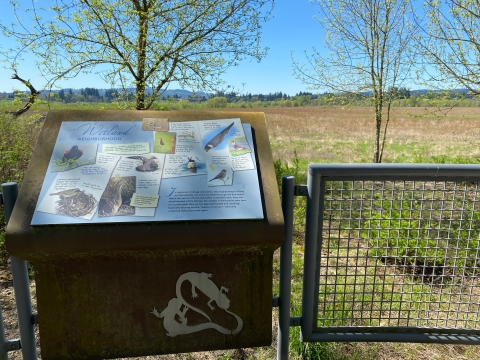 Image of a blue interpretive panel on a brown metal mount surrounded by a gray metal railing trees and a blue sky.