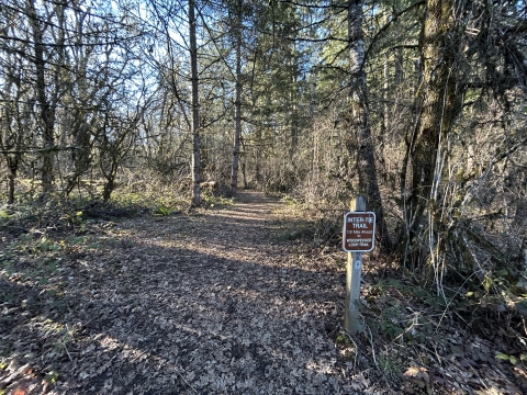Intertie trailhead sign in front of trees surrounding leaf littered ground