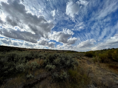 A sagebrush landscape can be seen with an expansive, cloudy sky.