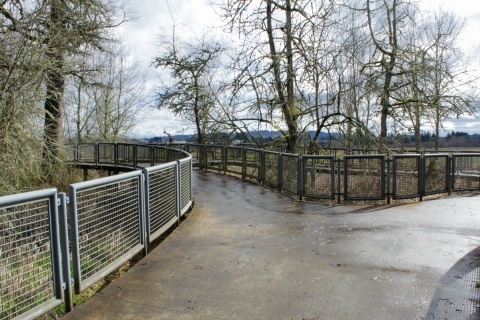 Image of a concrete walking surface that splits into a letter y shape and is surrounded by gray railing and leafless trees.