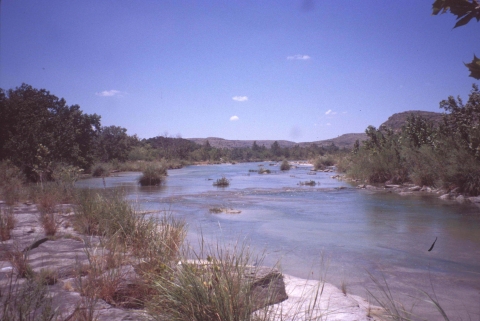 Looking at a wide, relatively shallow river on a clear day. White limestone rocks line the banks, with grasses and trees present in the riparian zone. Even though the photo is a landscape shot, you can tell that the river bottom is visible because the water is so clear.