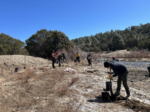The United World College students and teachers planting riparian plant species on the bank of the Mora River.