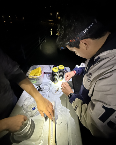Two field crew members at a table collecting data from juvenile coho salmon. Dark background with some lights shining and reflecting off the water.