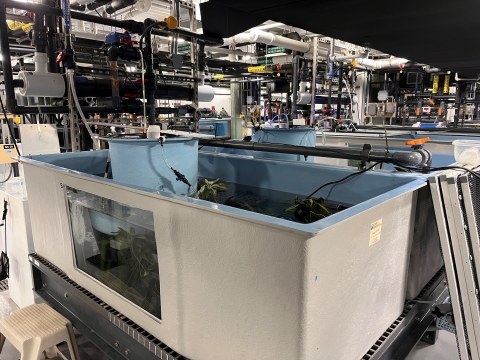 A large plastic fish tank inside a building