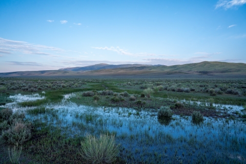 Wetland meadows with hills in the background at dawn. 