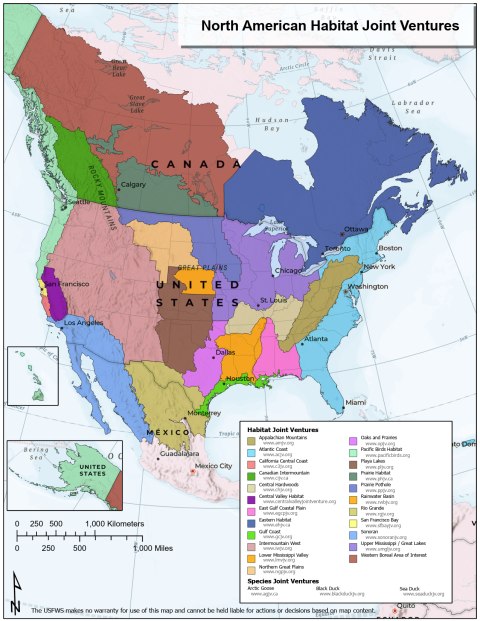 Migratory Bird Joint Ventures North American Map