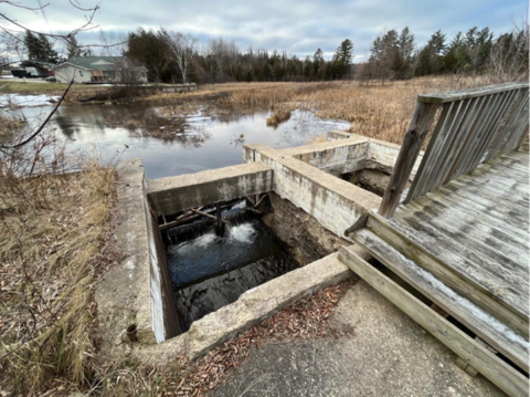 Wetlands adjacent to Beechwood Creek above the disused Sandback Dam in Rose City, Michigan.