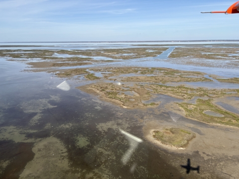 Ariel view of coastal islands at Aransas National Wildlife Refuge during the 2026 whooping crane population survey