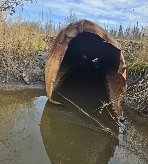 Culvert with bent edges, containing water inside and pooled in front of the opening. Grassy vegetation is visible in the landscape behind it. The culvert is casting a shadow on the water.