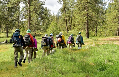 A trail crew hikes to a job site in the woods