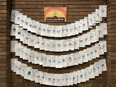 4 rows of paper pledges hanging on a brick wall with a sign above stating "Endeavor Elementary 4th grader's Conservation Pledges."