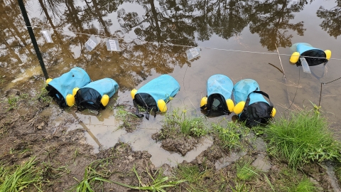 Blue buckets of mesh material float against the pond shore