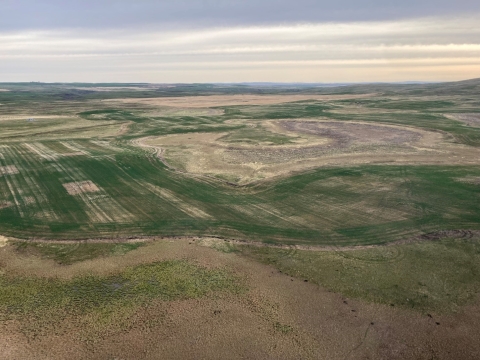 habitat south of Lethbridge, Alberta