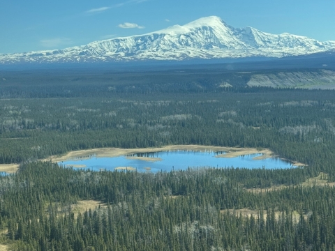 Wetlands in the Nelchina stratum with Mt. Sanford in the distance