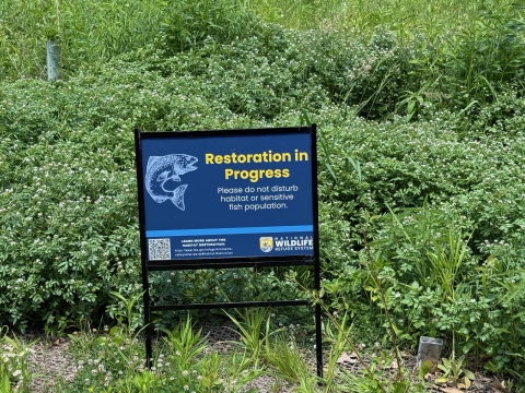 A sign that has a picture of a fish on it that reads “Restoration in Progress. Please fo not disturb habitat or sensitive fish population. Learn more about the habitat restoration: https://www.fws.gov/refuge/minnesota-valley/what-we-do#Habitat-Restoration” There is a QR code next to the link. In the bottom right corner it says “National Wildlife Refuge System” next to the United States Fish and Wildlife Service logo. 
