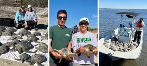 Montage including two images with people posing with sea turtles and another image with a man in a small boat with a USGS sign.
