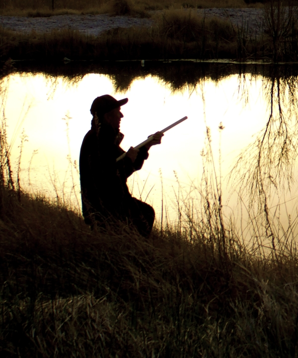 Hunter looking out over pond with shotgun. Hunter is backlit creating a silhouette.