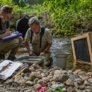 LCFWCO - Fish Sampling
