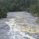 A river churns along the rocky rapids. Evergreen trees frame either side of the water.