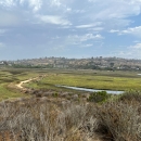landscape of green wetlands with houses on hills in background