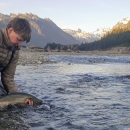 A man kneeling in a shallow creek releasing a large fish with mountains in the background.