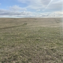short prairie grass with soft blue skies