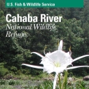 An image of the cover for the refuge brochure.