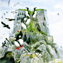 Split image of an island with the left side populated by a variety of birds and wildlife and the right side mostly empty except for a few rats