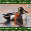 The most updated fact sheet for the National Junior Duck Stamp Program