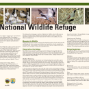 Cibola National Wildlife Refuge tearsheet