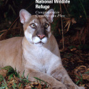Florida Panther National Wildlife Refuge Comprehensive Conservation Plan