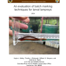 An evaluation of batch marking techniques for larval lampreys