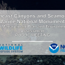 NCSMNM Draft Management Plan Public Meeting Presentation