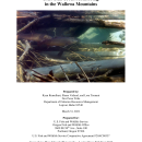 NPT Bull Trout Monitoring Report 2020 - submitted 2021-03-31.pdf