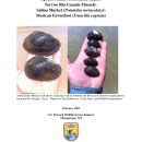 RioGrande_Mussels_SSA Report_v1.1_20230215.pdf