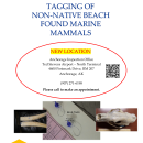 TAGGING OF NON-NATIVE BEACH FOUND MARINE MAMMALS 