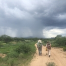 Image of 2 researchers walking up a dirt path with a monsoon in the distance