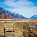 A disabled hunt blind at Kootenai NWR