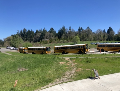Four buses are parked in a row in a parking lot next to a grassy field.